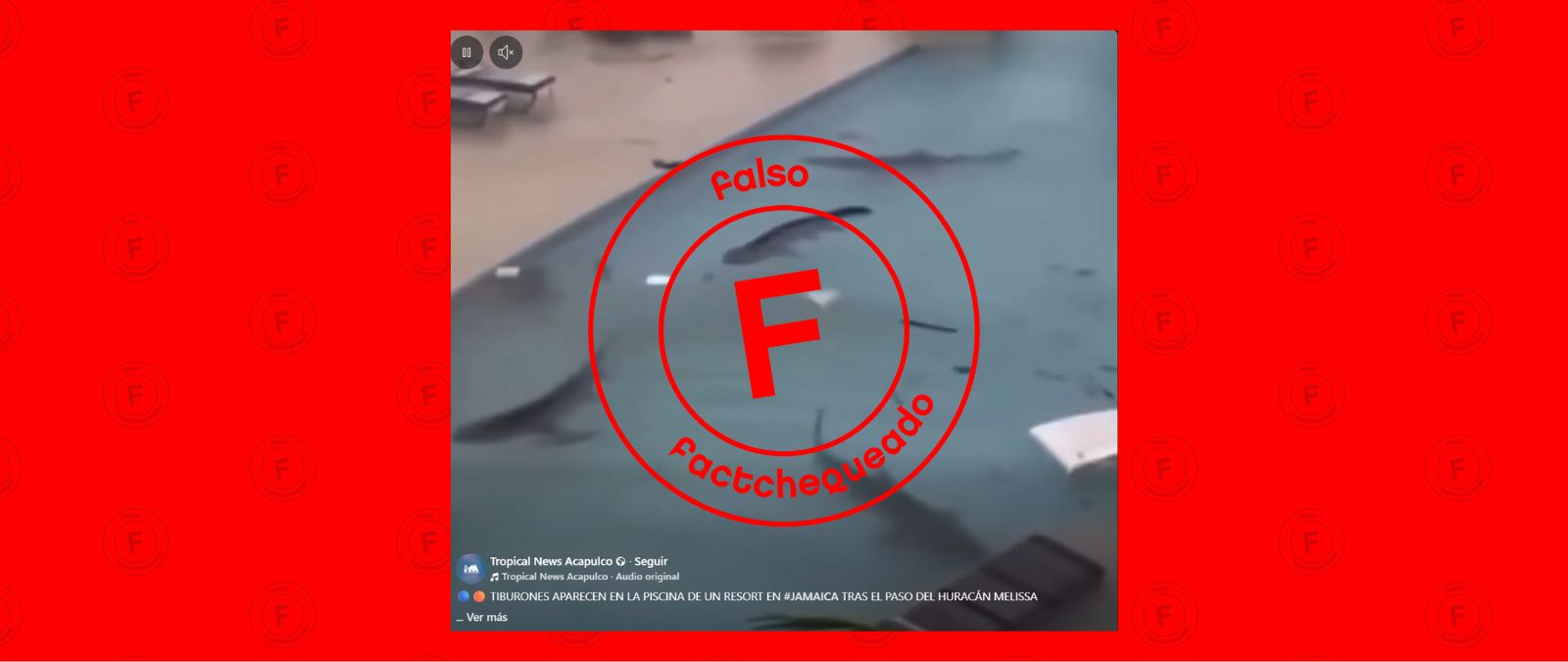 No,  este video de tiburones nadando en una piscina de un hotel de Jamaica tras el paso del huracán Melissa no es real: fue hecho con IA