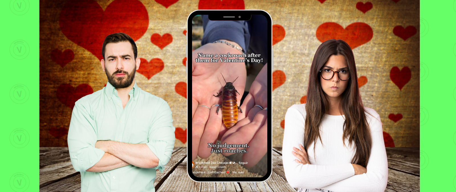 Ratas y cucarachas en San Valentín: sí, algunos zoológicos permiten ponerles el nombre de tu ex