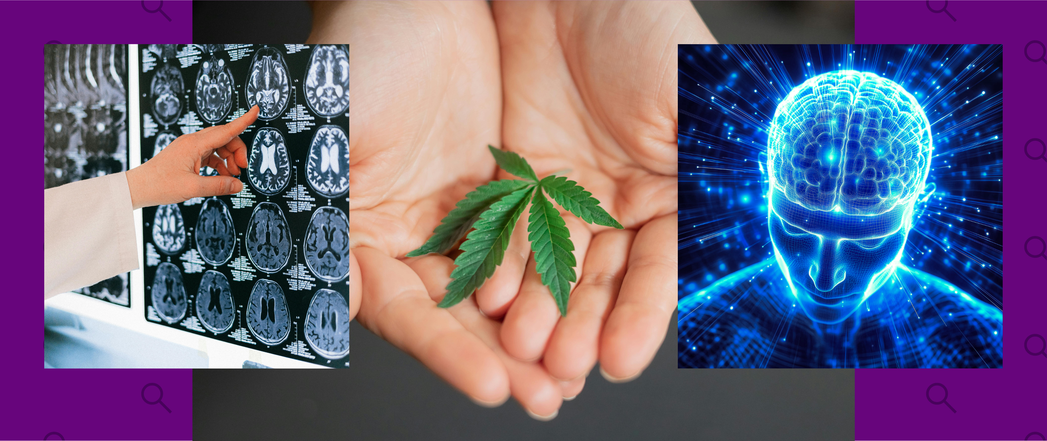 Día Mundial de la Marihuana: qué sabemos sobre sus efectos en la memoria