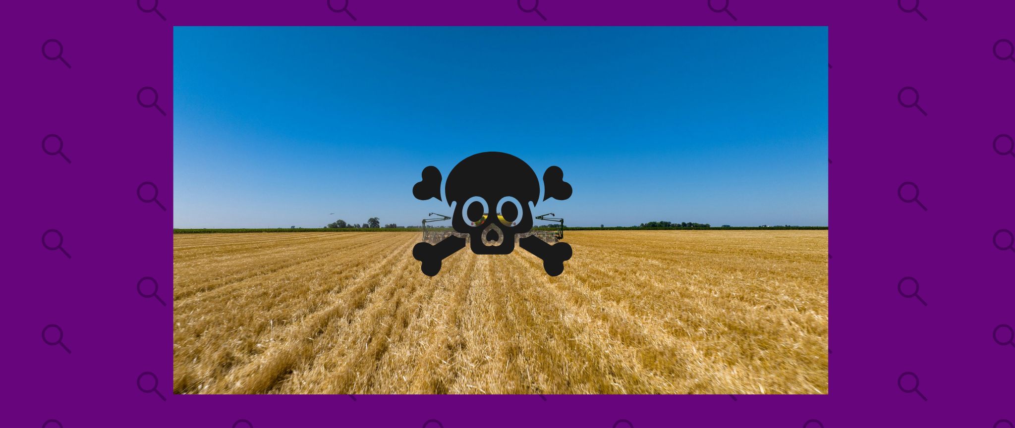 Políticos afirman que el herbicida glifosato causa cáncer, pero la evidencia no es concluyente